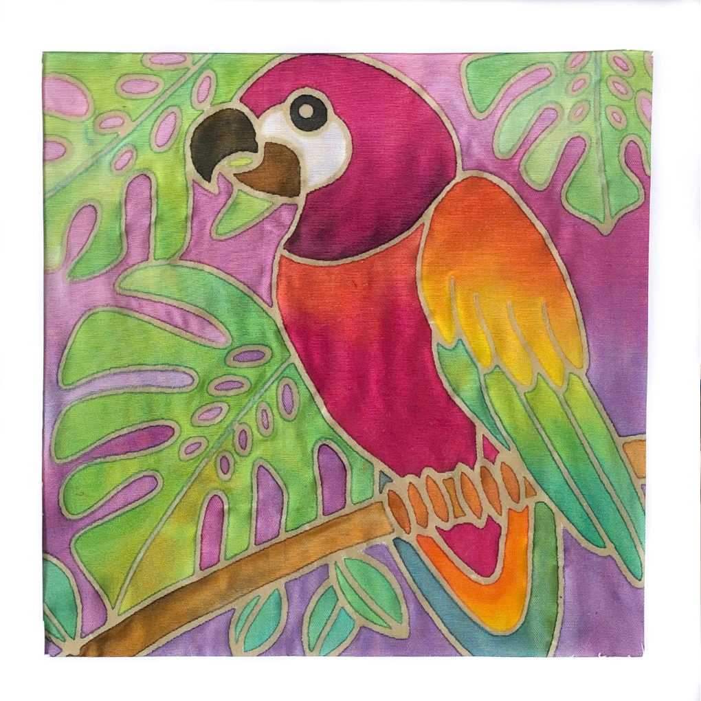 DIY Macaw Painting Kit - Creative Gift Under $20